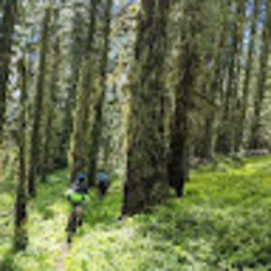 Meet your Posher, Darwin